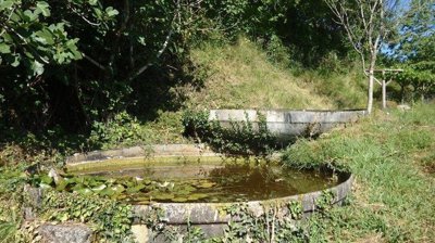 avske61incetou0i10