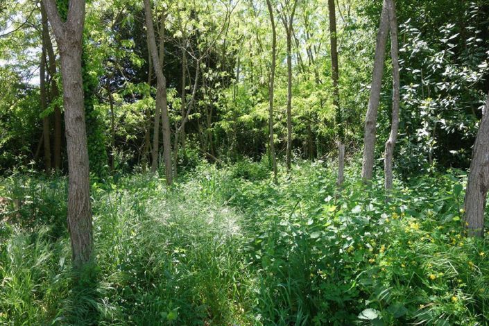 Image No.7-Maison de 6 chambres à vendre à Pugnac