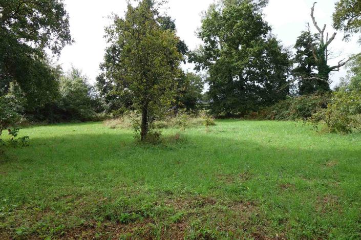 Image No.10-3 Bed House for sale