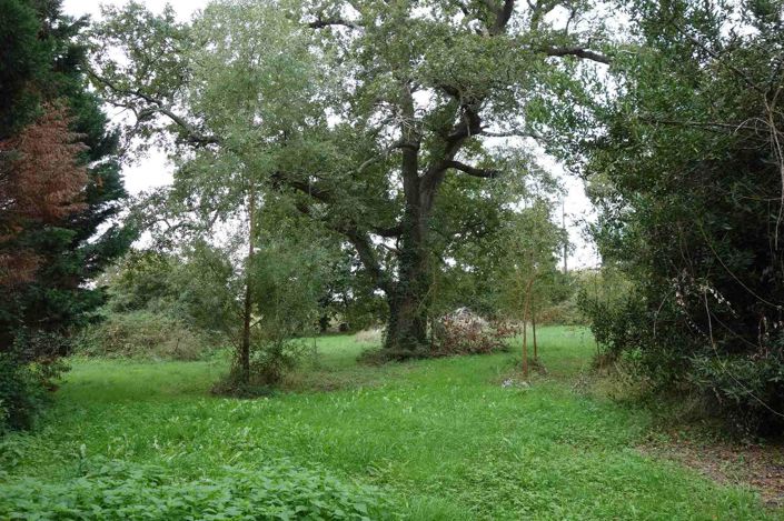 Image No.11-3 Bed House for sale