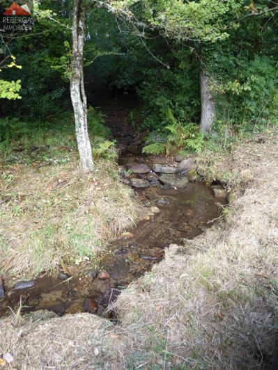 Image No.39-Maison de 3 chambres à vendre à Saint-Amans-Valtoret