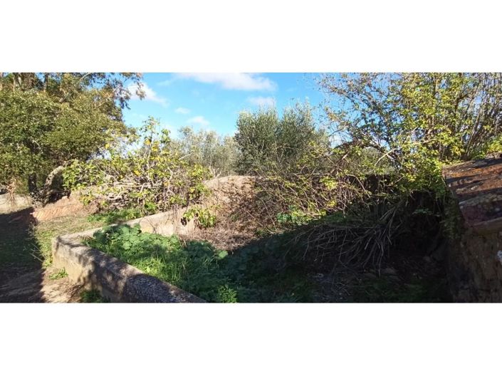 Image No.27-Maison de 2 chambres à vendre à Loule