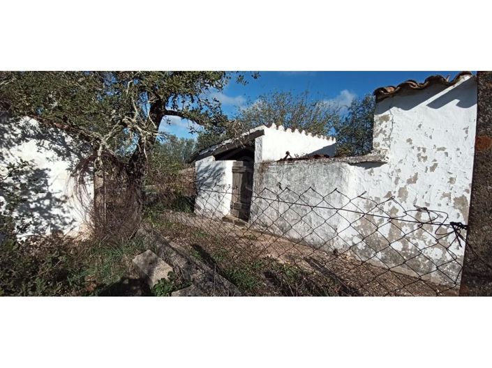 Image No.31-Maison de 2 chambres à vendre à Loule
