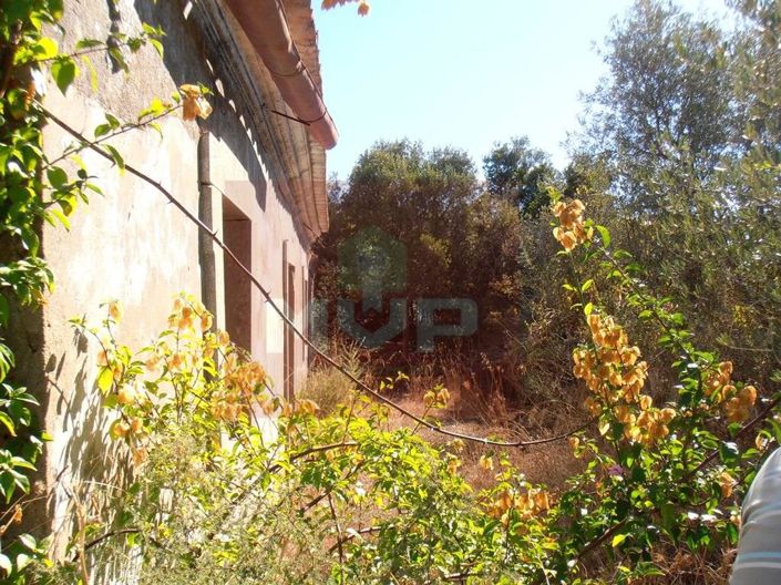 Image No.1-2 Bed House for sale