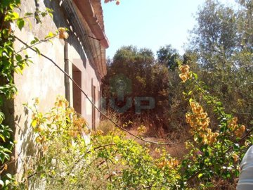 187674a-21860981