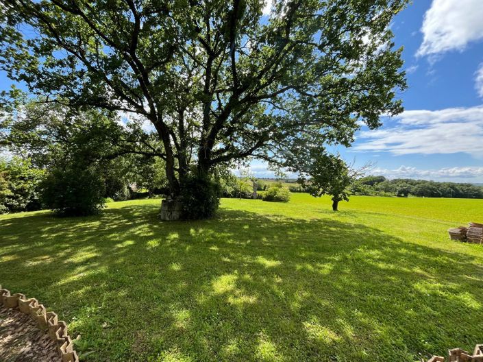 Image No.4-5 Bed House for sale