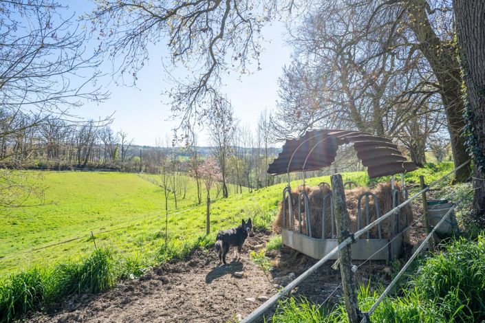 Image No.18-6 Bed House for sale