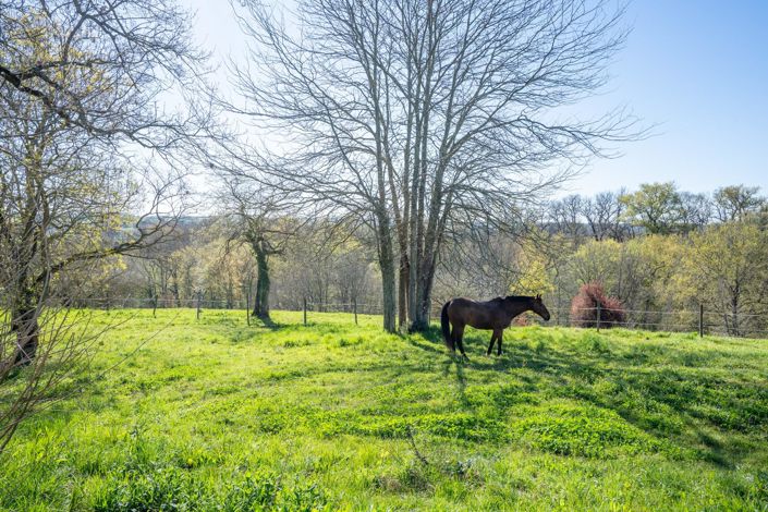 Image No.19-6 Bed House for sale