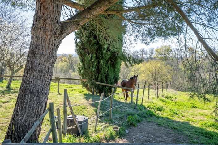 Image No.20-6 Bed House for sale