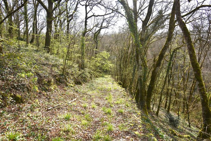 Image No.22-3 Bed House for sale