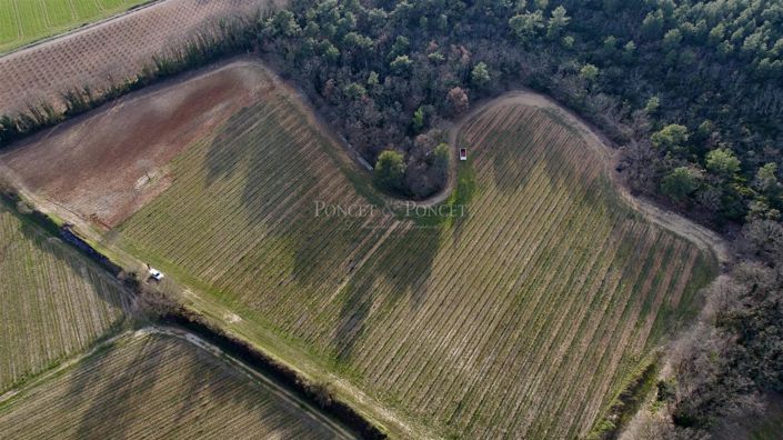 Image No.10-Maison de 4 chambres à vendre à La Calmette