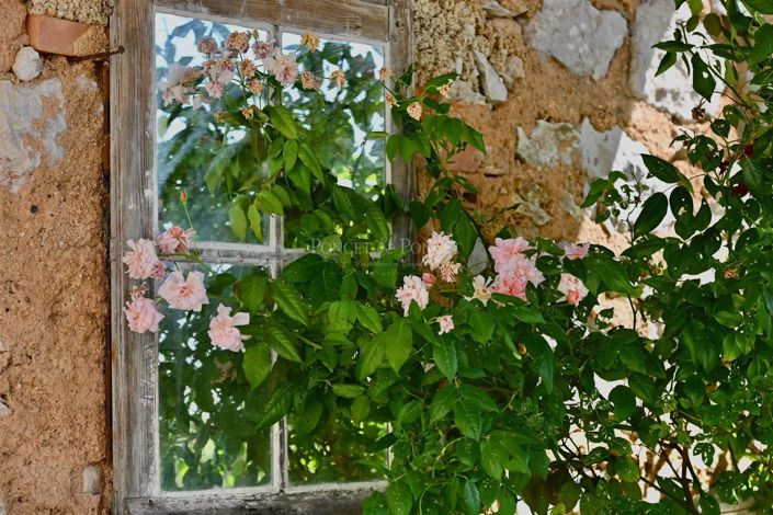 Image No.24-House for sale