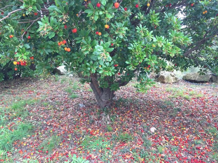 Image No.32-House for sale