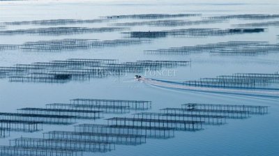 1 - Montpellier, Maison