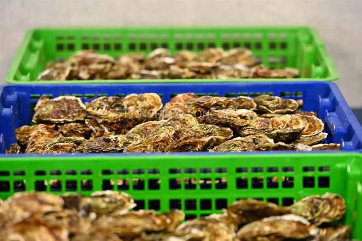 Image No.15-House for sale