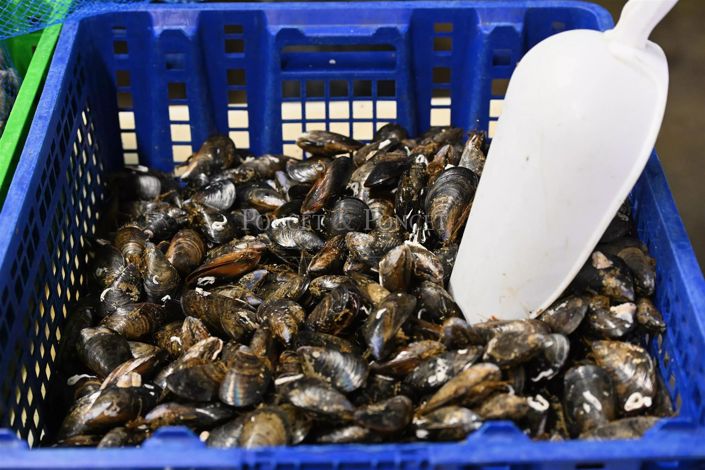 Image No.16-House for sale