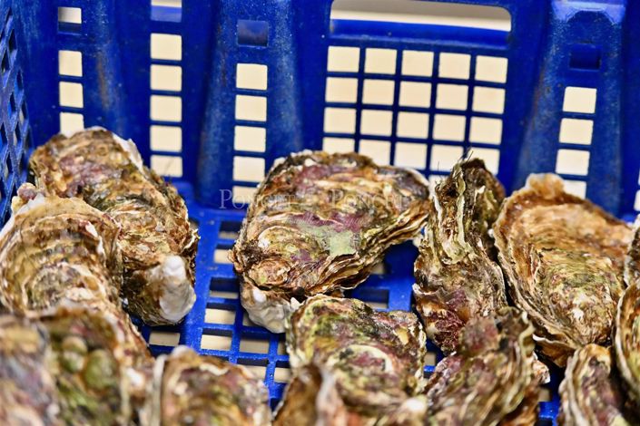 Image No.17-House for sale