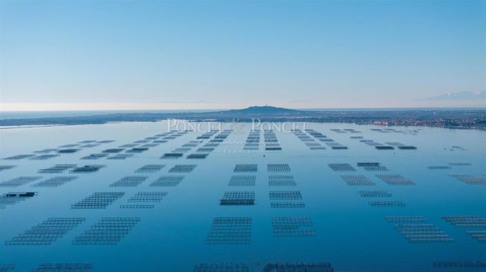 Image No.4-House for sale