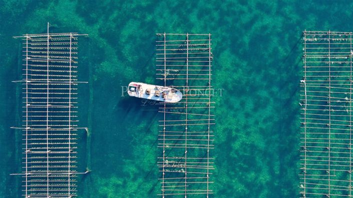 Image No.5-House for sale