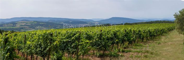 Image No.16-14 Bed House for sale