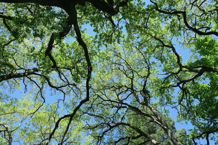 Image No.28-10 Bed House for sale