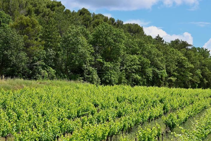 Image No.3-House for sale