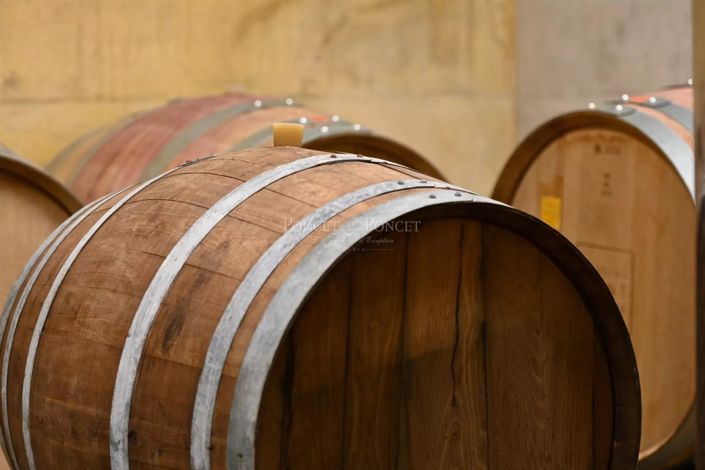 Image No.5-Maison à vendre à Suze-la-Rousse