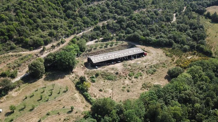 Image No.4-Maison de 5 chambres à vendre à Limoux