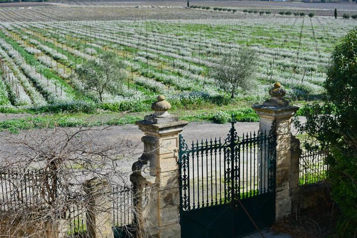 Image No.20-House for sale