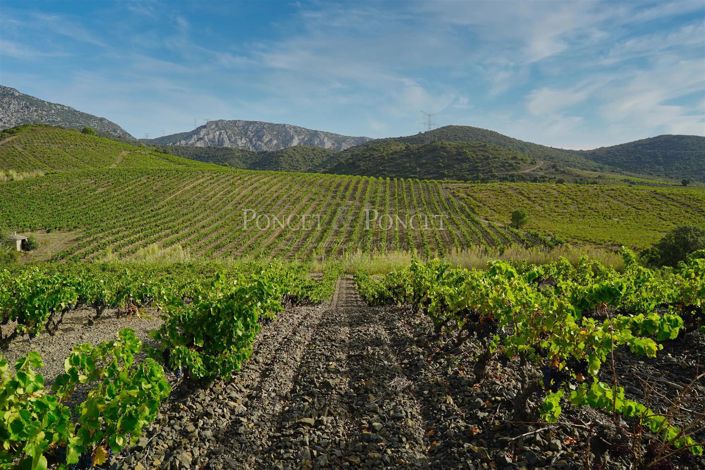 Image No.1-Maison à vendre à Perpignan