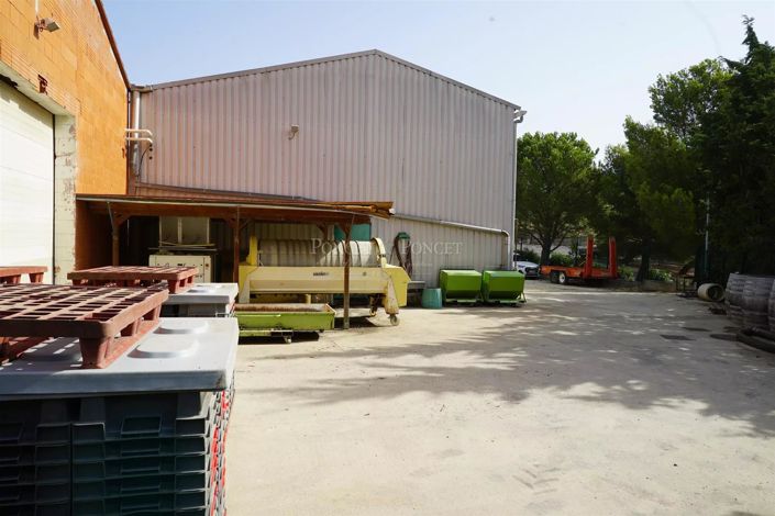 Image No.18-Maison à vendre à Perpignan