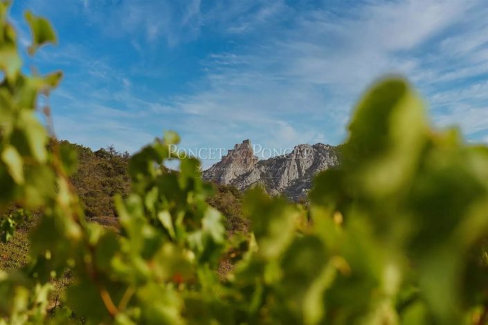 Image No.2-Maison à vendre à Perpignan