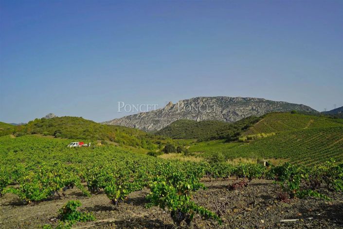 Image No.3-House for sale