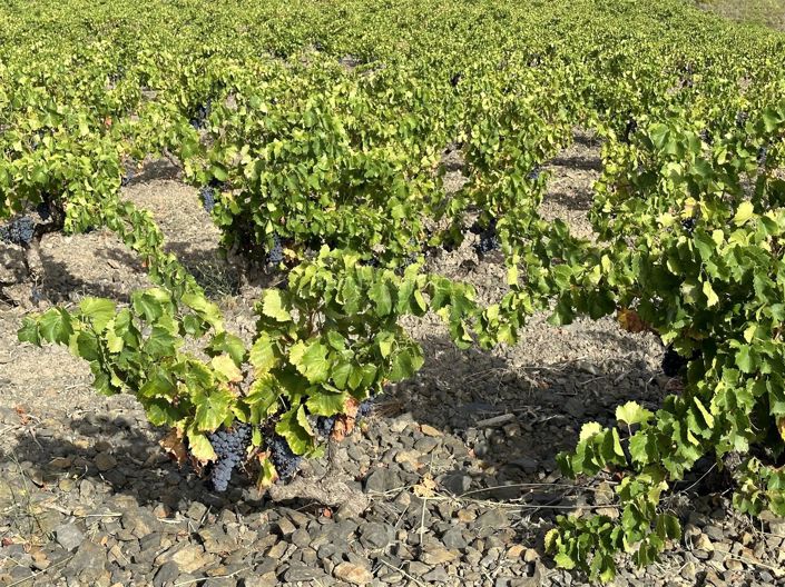 Image No.5-House for sale