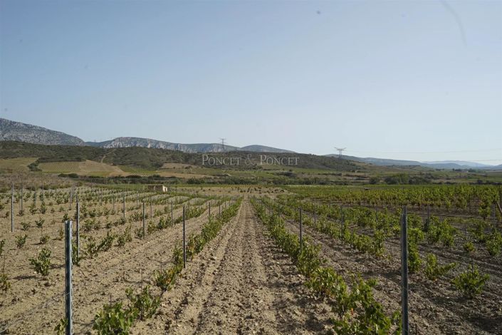 Image No.8-Maison à vendre à Perpignan