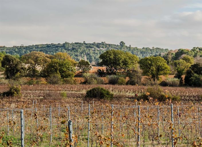 Image No.9-House for sale