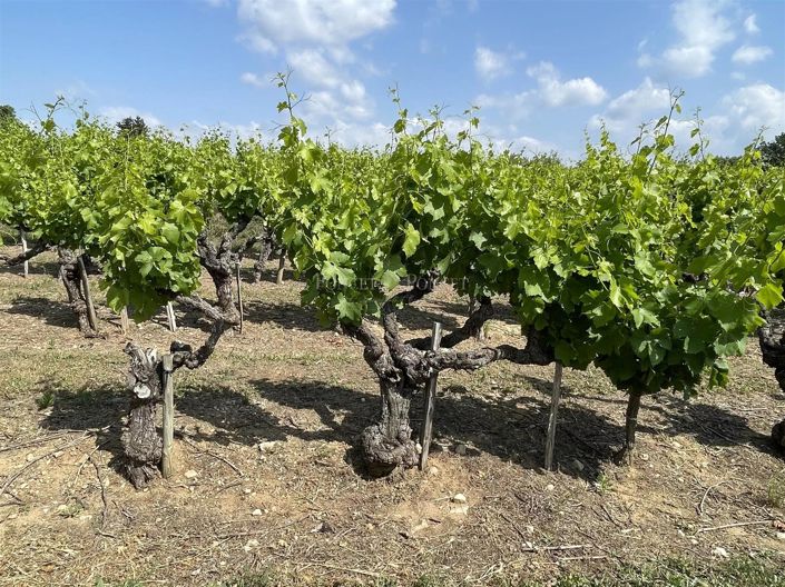 Image No.1-Maison à vendre à Goudargues