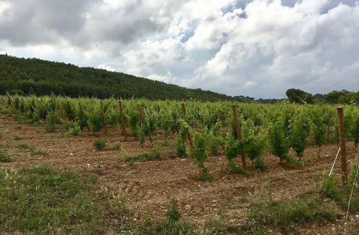Image No.20-Maison de 20 chambres à vendre à Montpellier