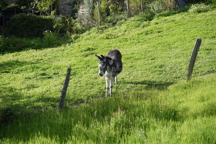 Image No.25-Maison de 7 chambres à vendre à Villefranche-de-Rouergue
