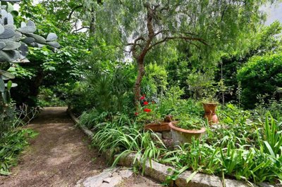 1 - Montpellier, Appartement