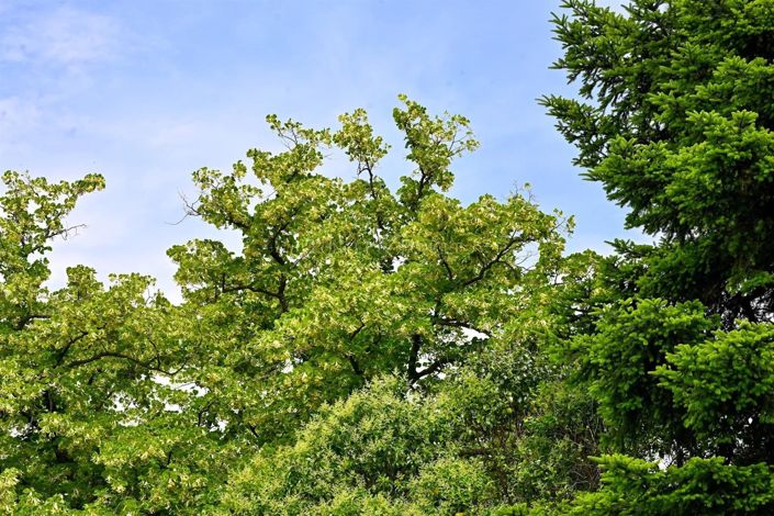 Image No.20-2 Bed Apartment for sale