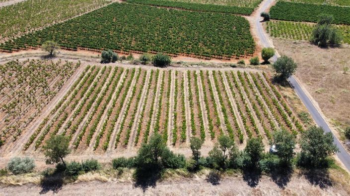 Image No.23-3 Bed House for sale