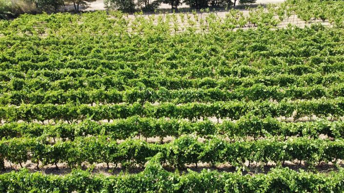 Image No.24-3 Bed House for sale