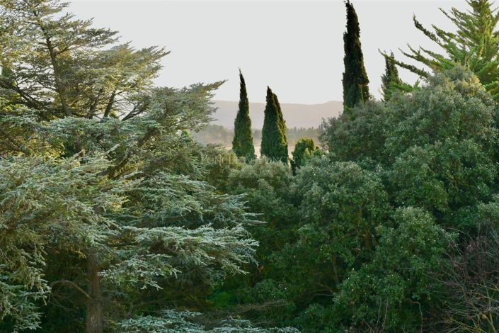 Image No.16-Maison de 11 chambres à vendre à Carcassonne