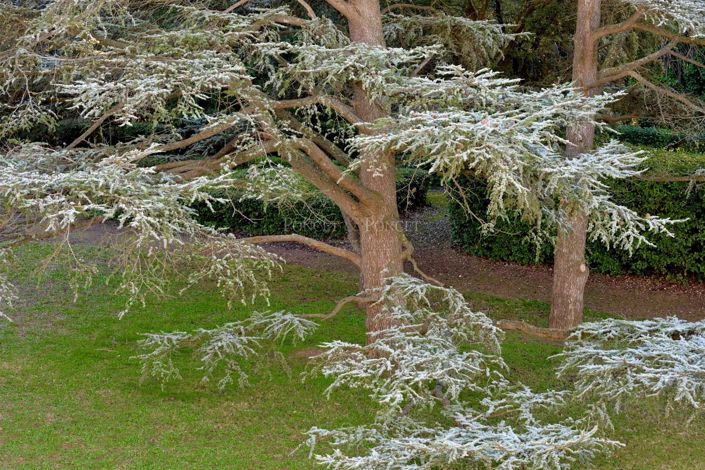 Image No.17-11 Bed House for sale