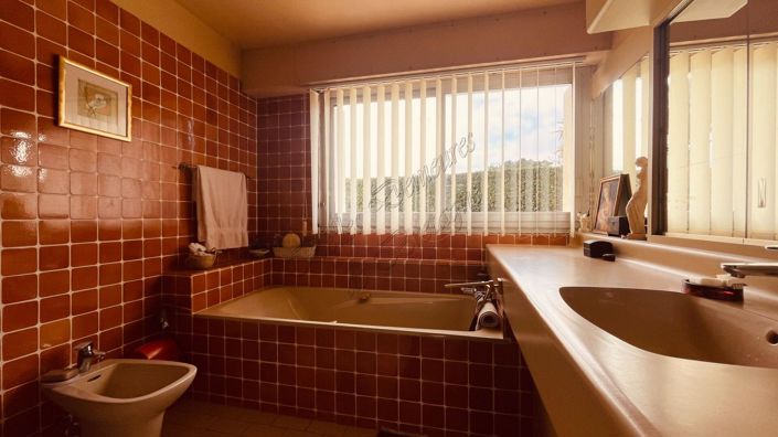 Image No.19-4 Bed House for sale