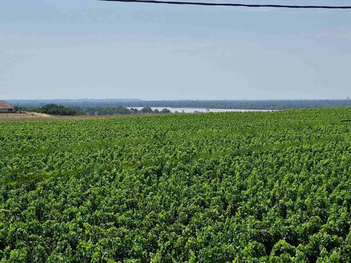Image No.22-Maison de 4 chambres à vendre à Gironde