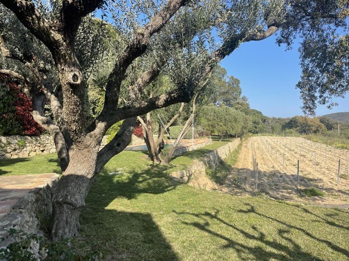 Image No.9-3 Bed House for sale