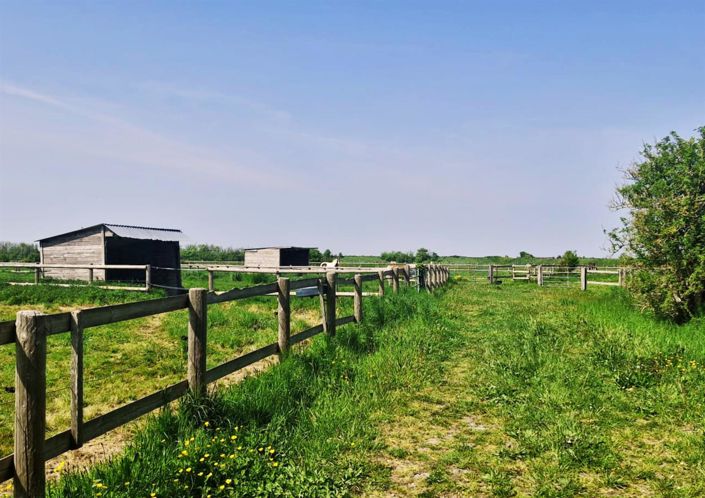 Image No.2-4 Bed House for sale