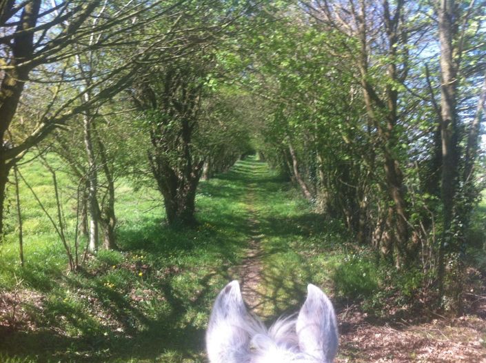 Image No.7-4 Bed House for sale